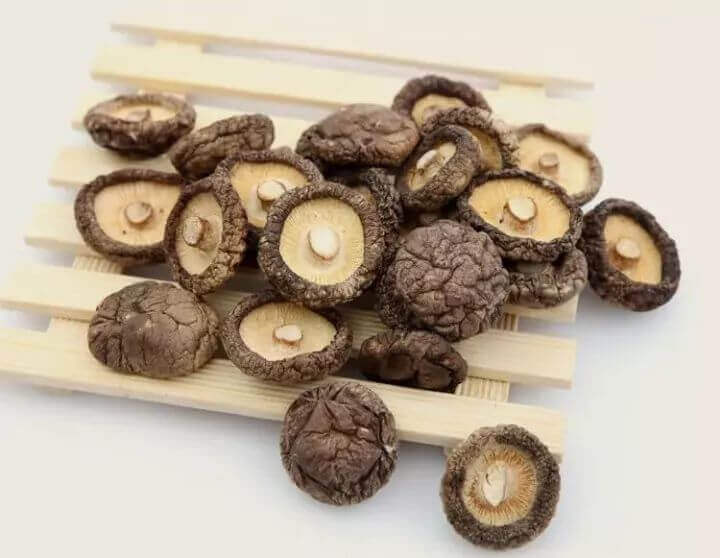 How to Dry Shiitake Mushroom,Dehydrate Shiitake Mushroom in a